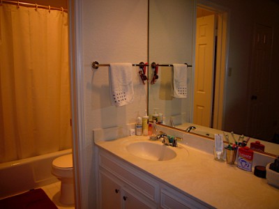 2408 Enfield #206  master bath